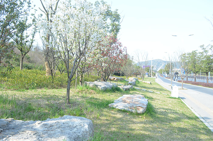 電子光學凈化車間